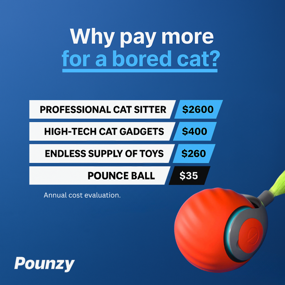 Pounzy™ Pounce Ball