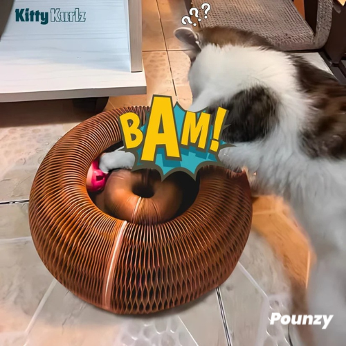 Pounzy™ Kitty Kurlz
