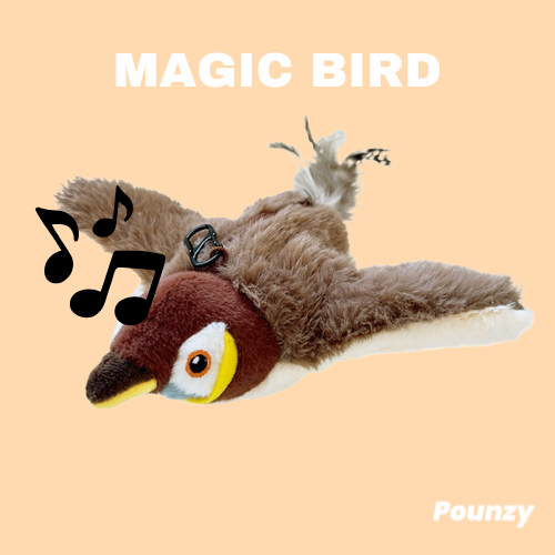 Pounzy™ MAGIC BIRD