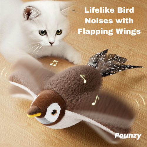 Pounzy™ MAGIC BIRD