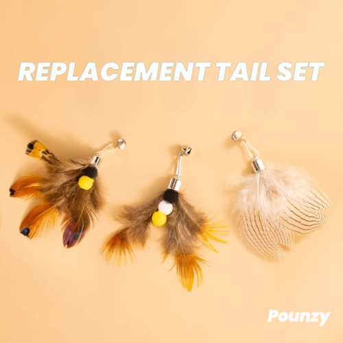 Bird Feathers: Tail Set