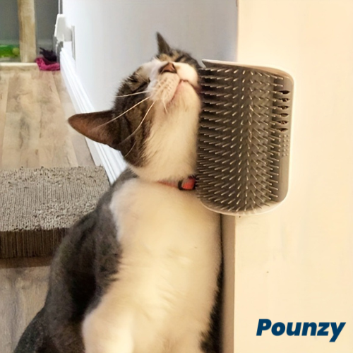 Pounzy™ Cat Corner Groomer