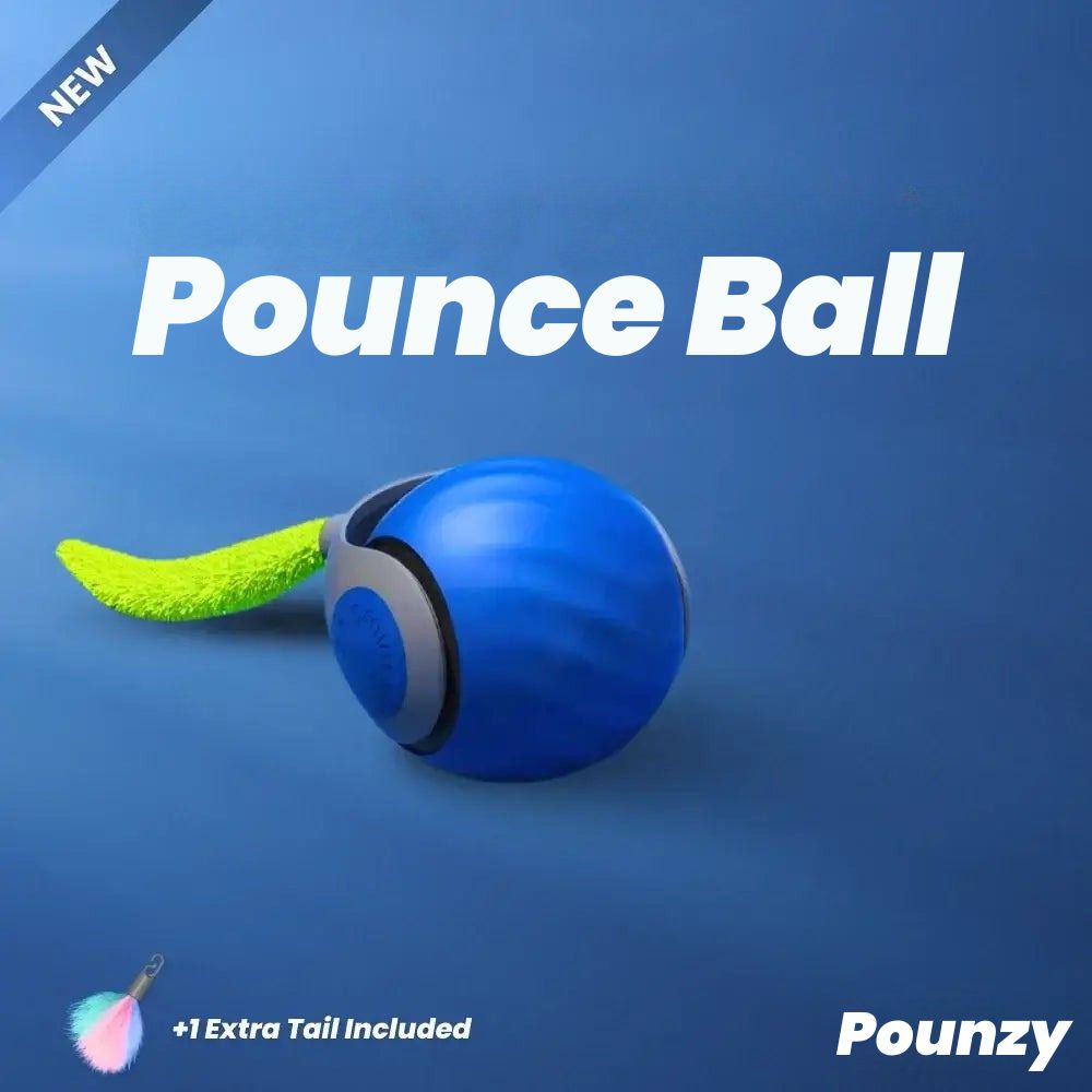 Pounzy™ Pounce Ball