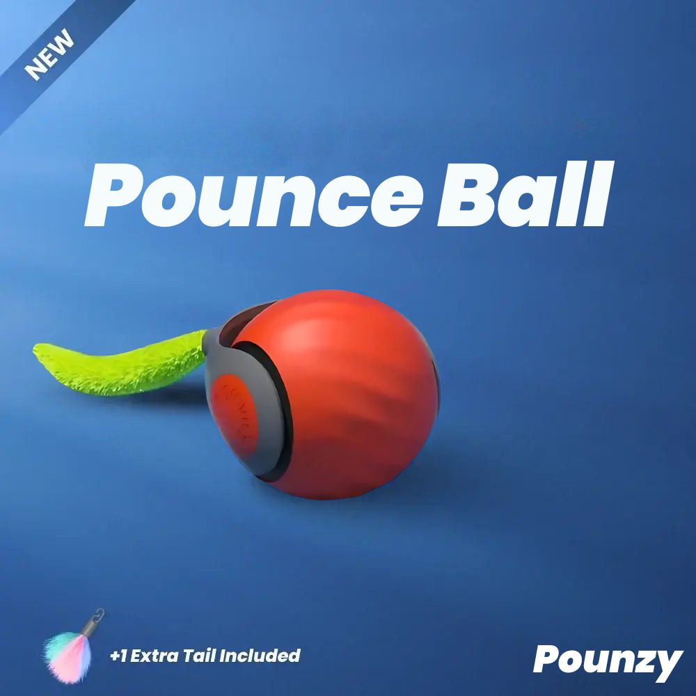 Pounzy™ Pounce Ball