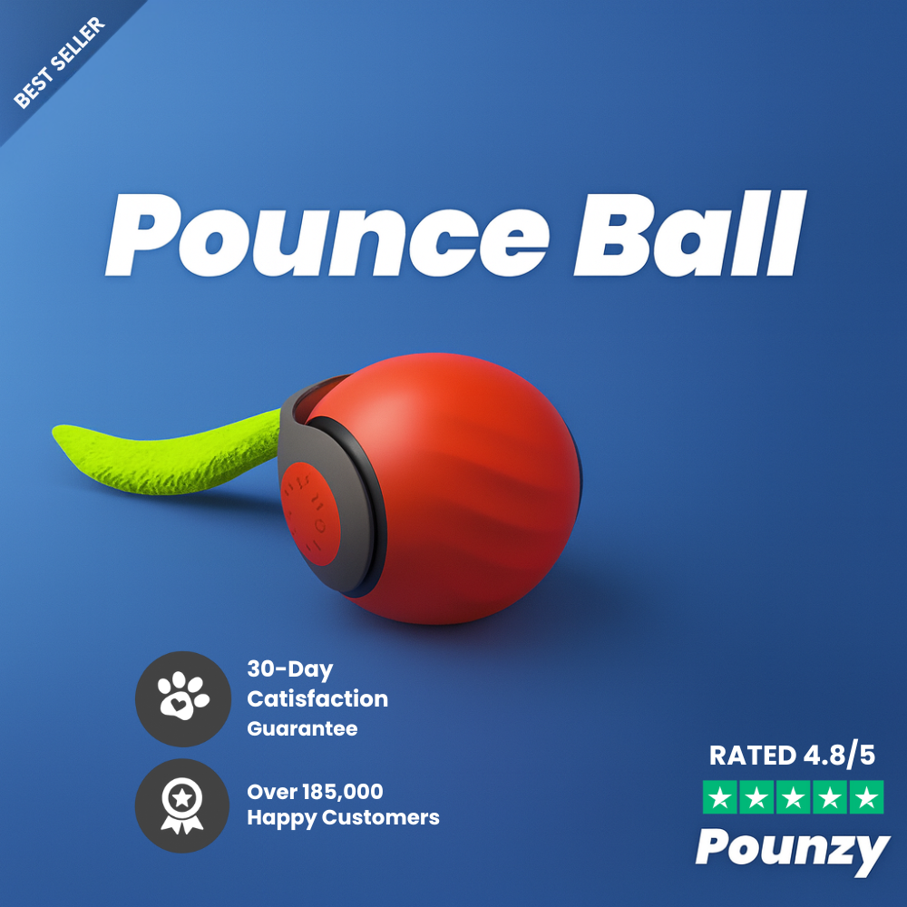 Pounzy™ Pounce Ball