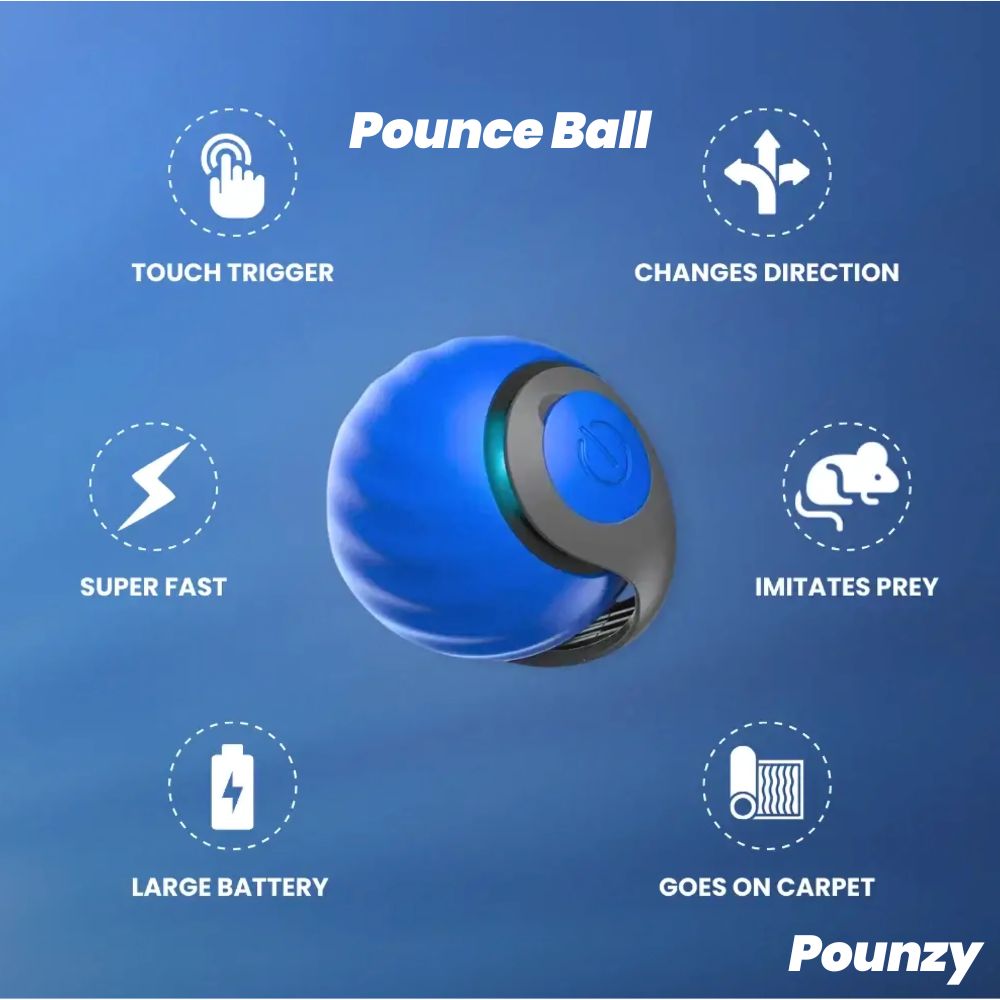 Pounzy™ Pounce Ball