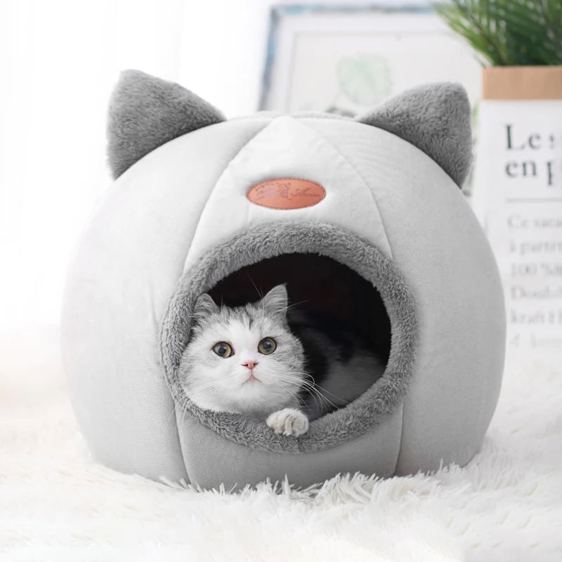 Cozy Pod